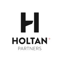Holtan + Partners AS logo - Similar company to Dsg Technology
