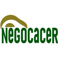 NEGOCACER SAC logo - Similar company to Spinout Unalm