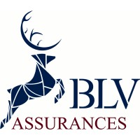 B.L.V Assurances logo - Similar company to Heliatus