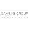 Gambini Group S.p.A. logo - Similar company to Sc Benedetti