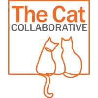 The Cat Collaborative