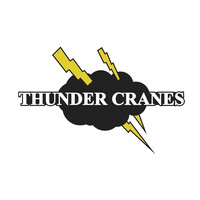 Thunder Cranes logo - Similar company to Ipe Switchboard Engineering Sdn Bhd