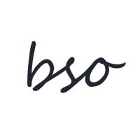 BSO Software logo - Similar company to Tnex Software