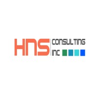 HNS Consulting Inc logo - Similar company to Bytestor Information Technology Services
