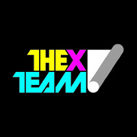THE X TEAM logo - Similar company to Anameva
