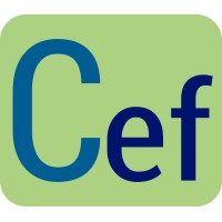 Cefinco S.A. logo - Similar company to Century Financial Corporation (Cefinco) Sa De Cv
