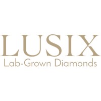 LUSIX logo - Similar company to Point.Ai