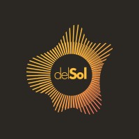 delSol logo - Similar company to Contour