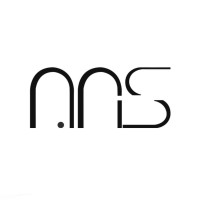 NAS Engineering Consultancy logo - Similar company to Masar Engineering Consultancy