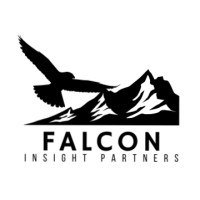 Falcon Insight Partners Inc logo - Similar company to Dynamic Navigation Technologies