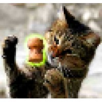 ABC123XYZ.com