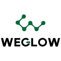 Hangzhou WeGlow Industrial Co., Ltd logo - Similar company to Esterline Interface Technologies