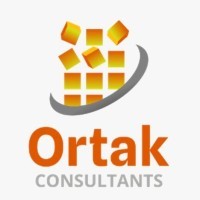 Ortak Consultants Private Limited logo - Similar company to Elevance Labs