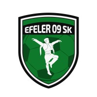 Efeler 09 Spor Kulübü logo - Similar company to Fk Mladost Lucani