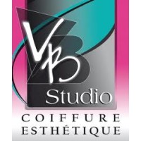 VB Studio Beziers logo - Similar company to Piscines Julien
