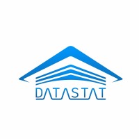 DataStat logo - Similar company to Wick
