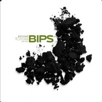 Biochar Initiatives Platform Spain logo - Similar company to Vanmander