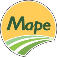 Mape MS logo - Similar company to Mape Creative
