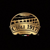 FA. LU. CIOLI S.R.L. logo - Similar company to Egon Srl