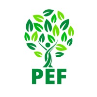 Pakistan Education Foundation NPO logo - Similar company to Friends Of Education Foundation