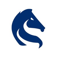 SKN Stratolog logo - Similar company to Skn Progress