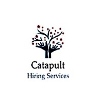 Catapult Hiring Services logo - Similar company to Vincaland