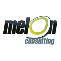 Melon Consulting logo - Similar company to Bayajula Services