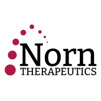Norn Therapeutics logo - Similar company to The Guiding Light