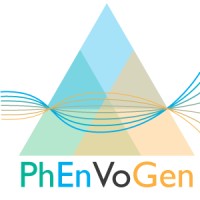Phenvogen Llc