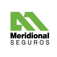 Meridional Seguros logo - Similar company to Bi-Fine Analytics