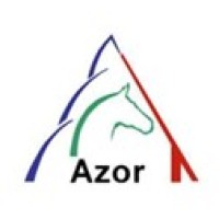 AZOR AG - Immobilien logo - Similar company to Isonet