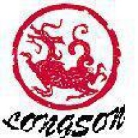 宁波龙升制衣有限公司 logo - Similar company to 联泰