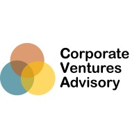 Corporate Ventures Advisory logo - Similar company to Tcf Partners