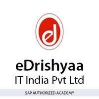 eDrishyaa IT India Pvt.Ltd. logo - Similar company to Enthrive Techworld Solutions