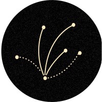 Centre of Excellence in Sustainable Fashion + Textiles logo - Similar company to Cadency Consulting