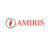 Amiris Invest logo - Similar company to Morami