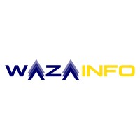 Waza Info logo - Similar company to Audiencent