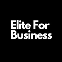 Elite For Business logo - Similar company to Mesulam Group