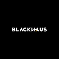BLACKHAUS GROUP logo - Similar company to Black Haus