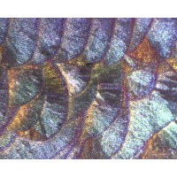 Met@UniBO - Laboratorio di Metallurgia UniBO logo - Similar company to Assotech Srl