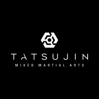 Tatsujin MMA logo - Similar company to Fittar
