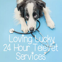 Loving Lucky, LLC logo - Similar company to Lokx