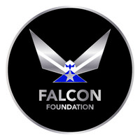 Falcon Foundation logo - Similar company to U.S. Air Force Academy Association & Foundation