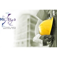 MLC ERGO logo - Similar company to Serenisys : Cloud / Stockage / Securite / Services