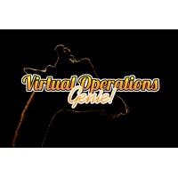 VirtualOps Genie logo - Similar company to Virtual Ops, Llp
