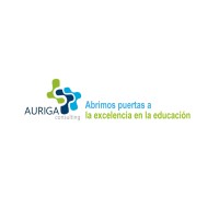 AURIGA CONSULTING logo - Similar company to Fundación Canaria Main