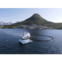 Håløy Havservice AS logo - Similar company to Grovfjord Mek. Verksted As
