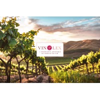 VINOLEX logo - Similar company to Ctm