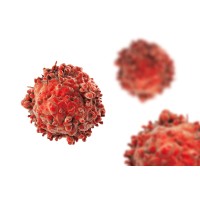 Calli Biotech logo - Similar company to Growth Iq