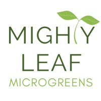 Mighty Leaf Microgreens logo - Similar company to Microgreen Magic
